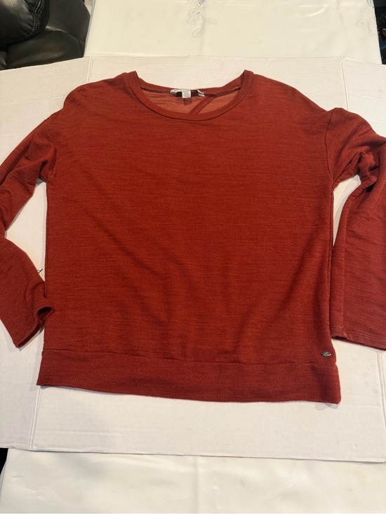American Eagle Outfitters Other - American Eagle Outfitters Brick Red Crewneck Sweater